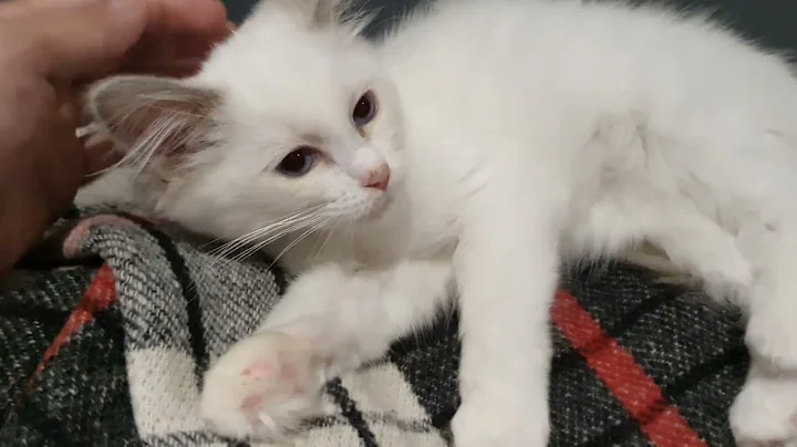 Watch the video about Introducing Hestia