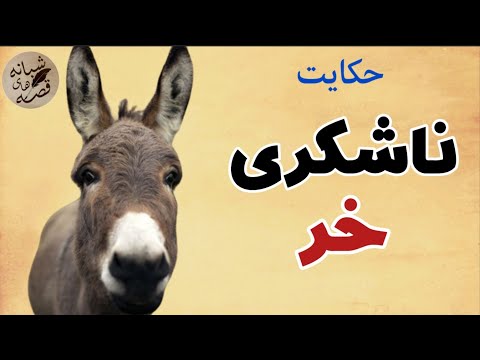 حکایت کوتاه و آموزنده ناشکری خر از مثنوی معنوی خری که روز و شب آرزوی مرگ میکرد