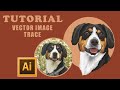 Tutorial Realistic Vector Pet Doggy | Adobe Illustrator [ TIMELAPSE ]