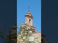 Volteo de la Campana de San Juan de la Palma