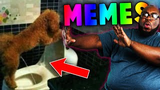 MEMES so CRAZY, the Dog Peed in AARON's SWEATSHIRT! (TRY NOT TO LAUGH)