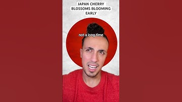 Thumbnail of Japan Cherry Blossoms Blooming Early