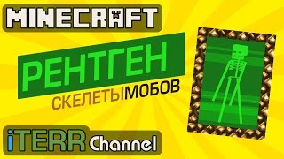 : Minecraft.  Item  .  . #1