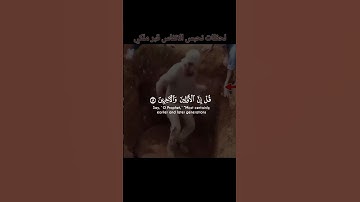 تلاوة خاشعه القارئ ياسر الدوسري امام الحرم المكي