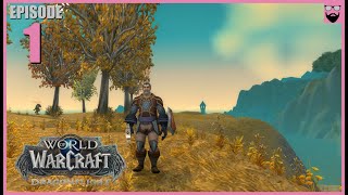 Let's Play World of Warcraft Dragonflight - In 2024 - Fresh Start Paladin - Part 1 - Chill Gameplay