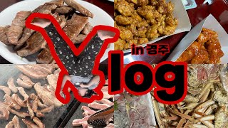 [ vlog ]다이어트는 내일부터……? | 경주 vlog | gyeongju vlog | 07