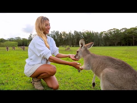 Видео: Орёл и Решка. НА КРАЮ СВЕТА. #12 Сидней