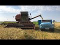 🌾Уборка Озимой Пшеницы 2021 началась! 🍉Арбузы и Дыни на подходе!
