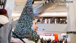 Dagley Media Footage on CNN - Woody The Talking Christmas Tree