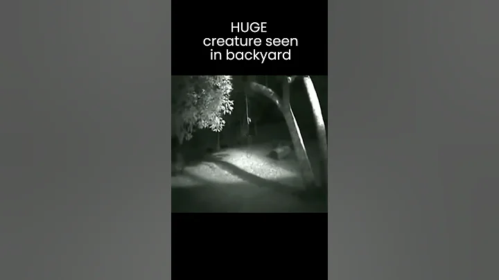 Is This A WEREWOLF In His Backyard?!! It's HUGE! #shorts #monsters #caughtoncamera #werewolf