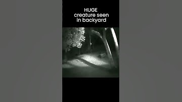 Is This A WEREWOLF In His Backyard?!! It