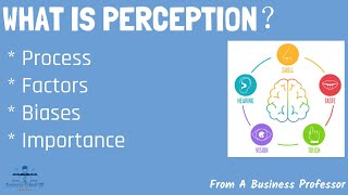 5 Most Common Types of Perceptual Biases in the Workplace | From A Business Professor