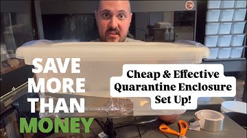How to Set up a Cheap & Effective Quarantine Enclosure for a Snake