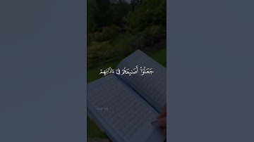 _قَالَ رَبِّ إِنِّي دعوت قومي ليلاً ونهاراً_ 🌸 قرآن كريم🌸القارئ شريف مصطفى 🌸سورة نوح🌸#قرآن