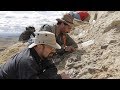 Uncovering the Late Jurassic In Wyoming