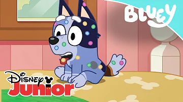 ¿Bingo tiene celiacos en Bluey?