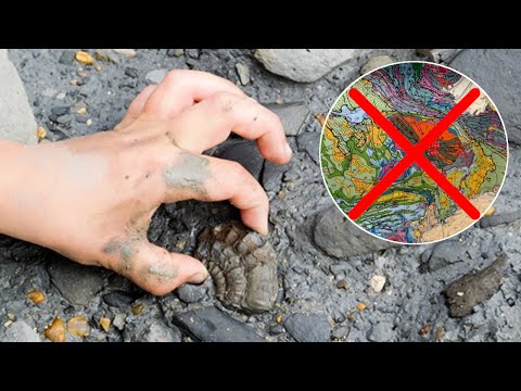 Vidéo: Où trouver de l'ammonite ?