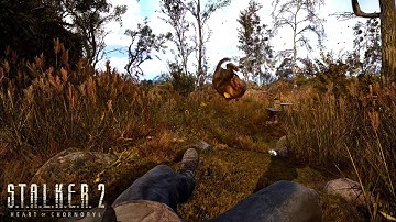 The Unforgiving Opening Gameplay | Stalker 2: Heart of Chernobyl | Max Graphics RTX 4090