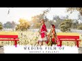 Royal wedding cinematic highlights  rohit rathod photography