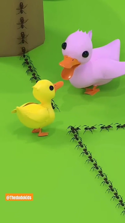 How Duck 🦆 Help Ants 🐜||@The_dodokids