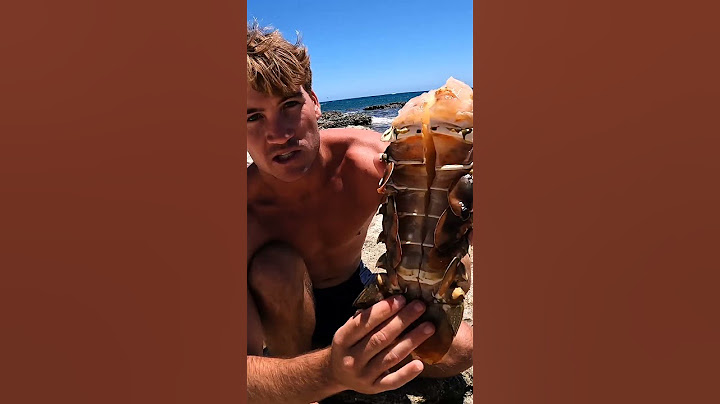 Giant Lobster Bare Hand Catch and Cook