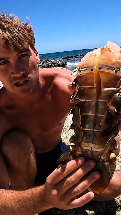 Giant Lobster Bare Hand Catch and Cook