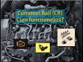 Cum funcționează injecția Common Rail? (tutorial) #Common_Rail, #Bosch, #Delphi, #Denso