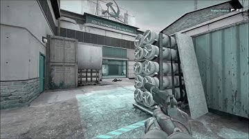First Csgo Frag Movie