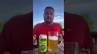 Destihl Brewing Co Sour Dill Pickle Beer