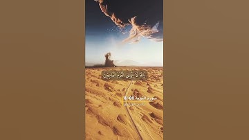 سورة التوبة الاية 80-81