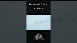 DominatoR Conical в работе #shorts