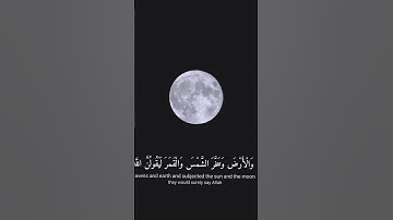 سورة العنكبوت الآية 59|Surah Al-Ankabut 59