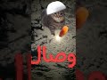 القطو قطوط يغني لكم اغنيت رمضان