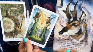 Escorpio🦂Te confiesa si amor‼️🗣️📞💕 Ya no quiere perder más tiempo 💥#escorpio #tarot