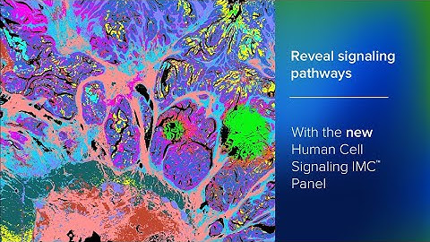 Reveal Signaling Pathways with Imaging Mass Cytometry Panels