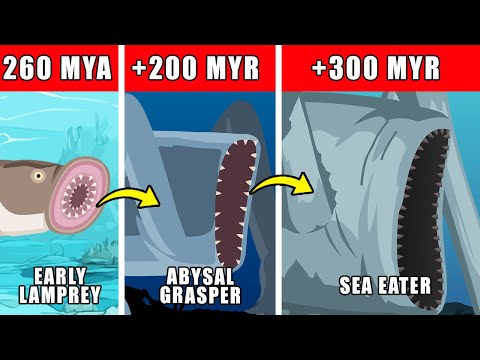 Sea Eater Origin Evolution: How Sea Eater Could Have Evolved