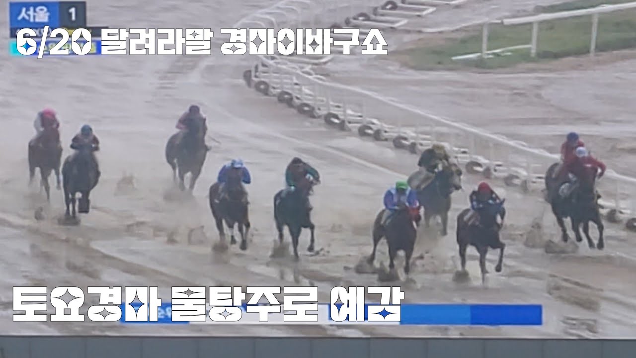 토요경마 물탕주로 난리날것같은~(경마 이바구쇼 마장가면서~)