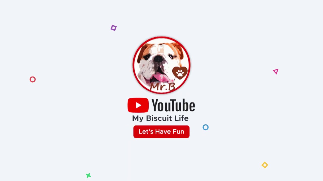 to My Biscuit Bulldog Life fun dog channel YouTube