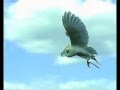 High speeds bird