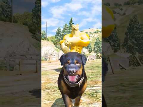 GTAV:chop saved the shin chan and franklin from toilet monsters #gta5 #shinchan  #gta5mods#bommalu