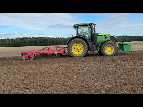 Starting wheat cultivation. If the rapeseed is nice, something is always eating it!