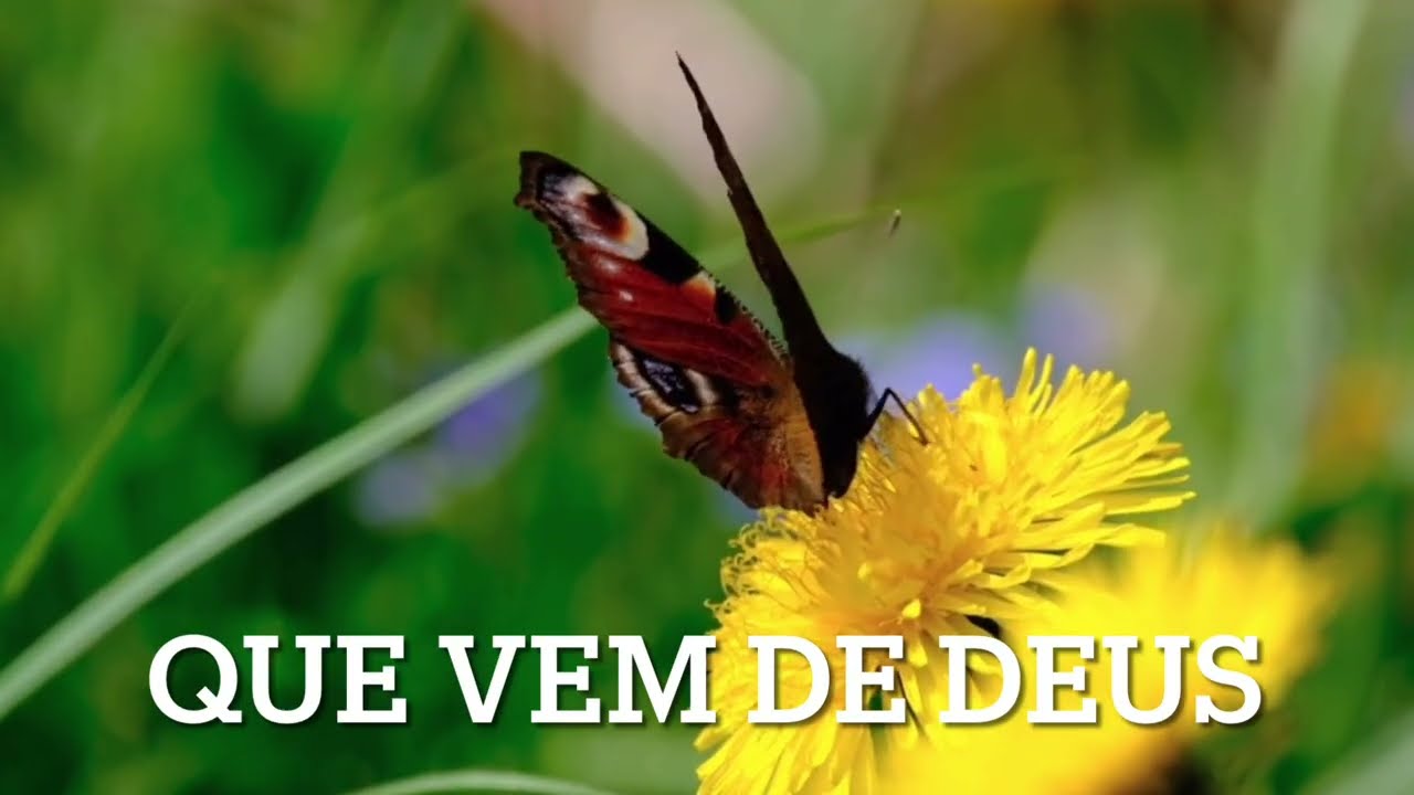 Evangelho 03/03/26. Eles Falam Mas Não Praticam! Isso Não Vem Deus.