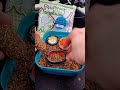 Peletii Râme & Viermuși MG SPECIAL CARP #mgcarp #carpfishing #method #fishing #food #vegan #pescuit