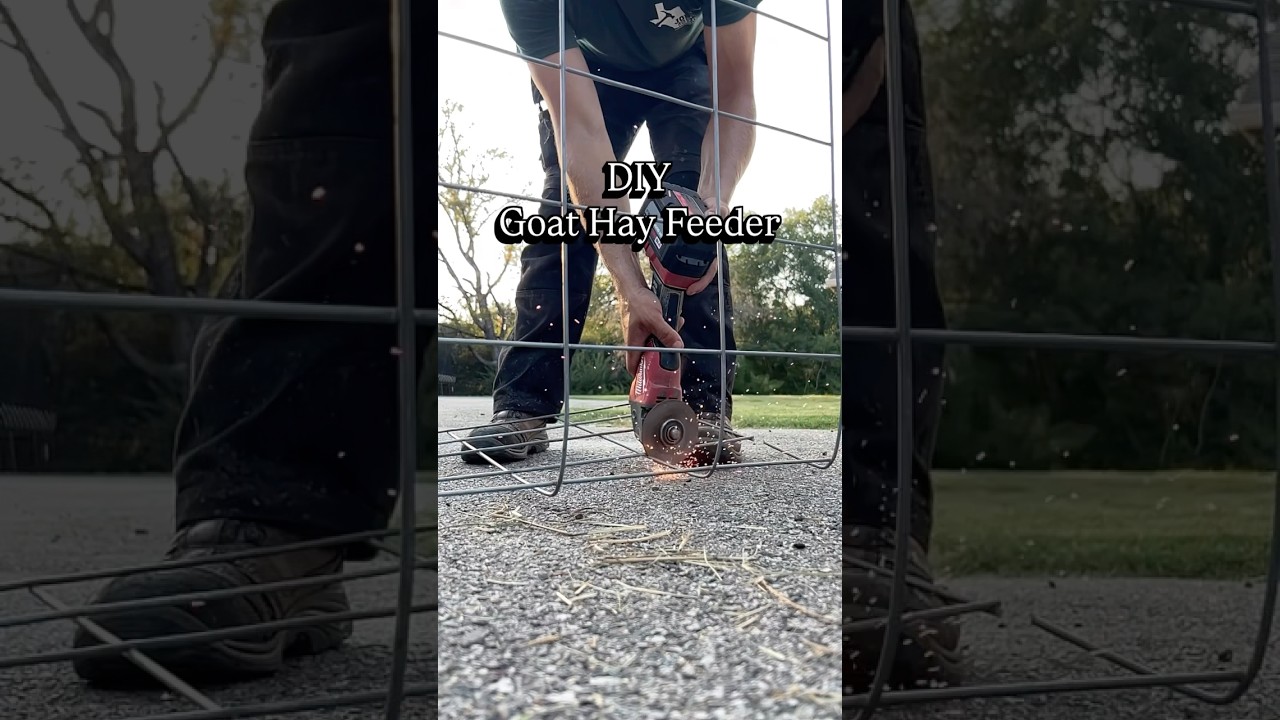DIY Goat Hay Feeder 🐐🌱🛖 
