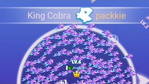 Fish Go.io 2 Gameplay Winner 🏆#gameplay #fishgoio2