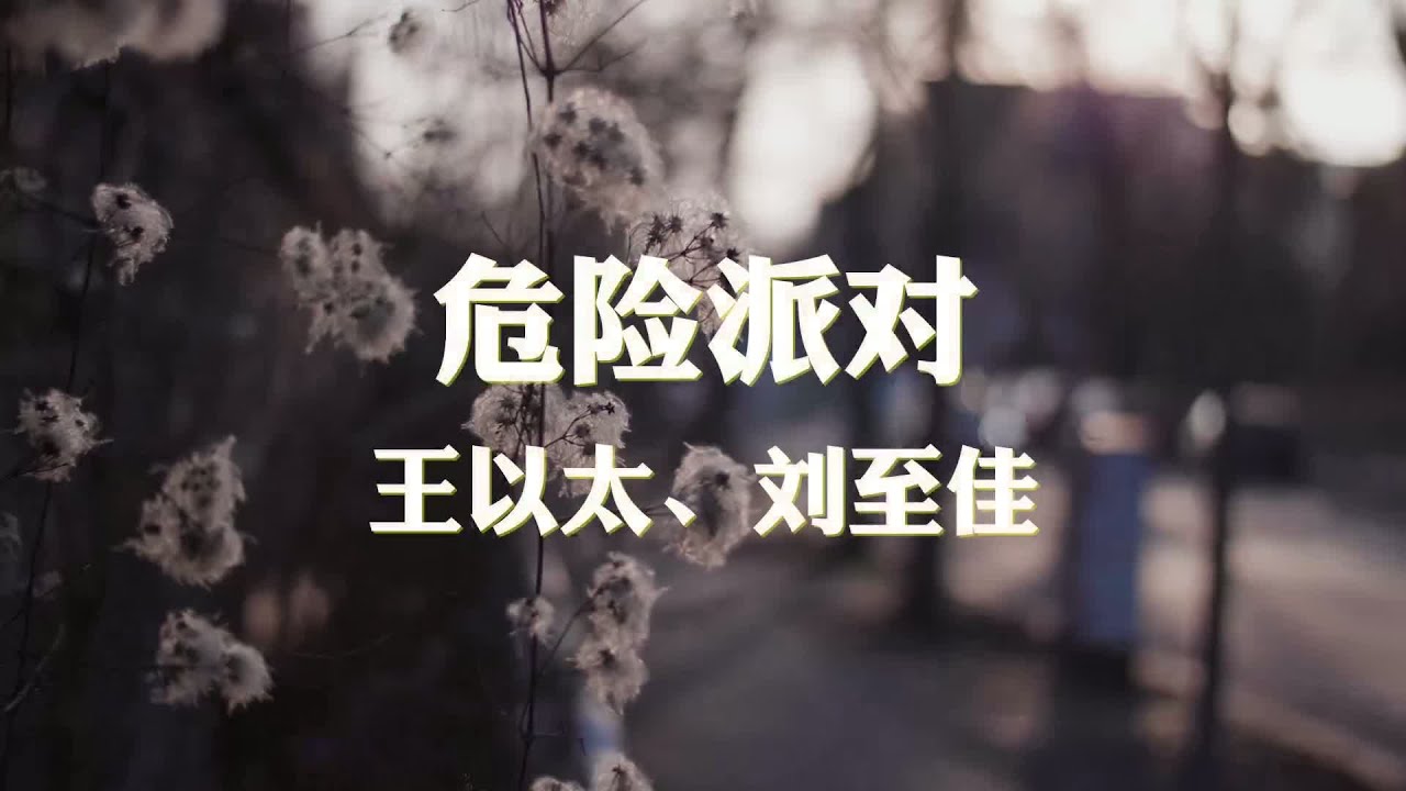 王以太、刘至佳~危险派对『Maybe we just slow down』【动态歌词纯享练唱版带拼音】 - YouTube
