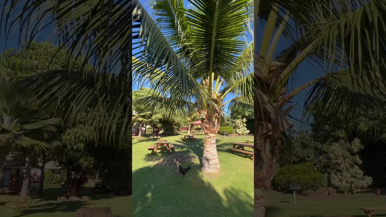 Thinking about the beauty of 