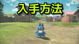 ポケモン アルセウス ゴンベ 入手方法 出現場所 捕まえ方 Pokemon Legends アルセウス Youtube