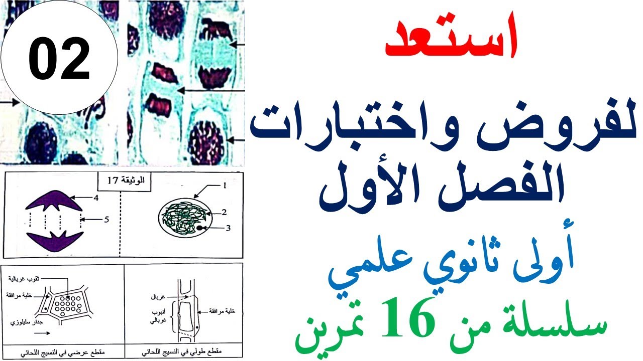 سلسلة تمارين الفصل الاول اولى ثانوي علمي 2