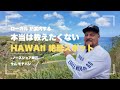 【必見】ハワイ・ノースショア観光の注意点!プウ・マフカ訪問時の渋滞対策と安全ガイド